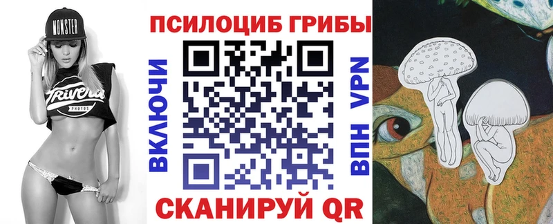 Галлюциногенные грибы Psilocybine cubensis  Абакан 
