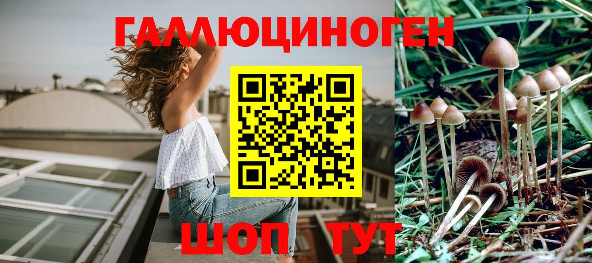 Псилоцибиновые грибы Magic Shrooms  Вход с VPN  Абакан  сколько стоит  Псилоцибиновые грибы GOLDEN TEACHER 