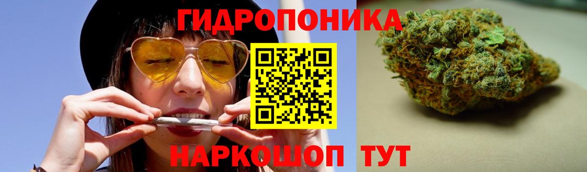 Канабис OG Kush Абакан